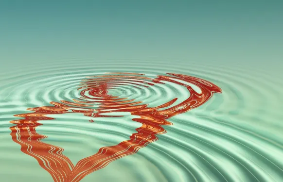 Rex Casino Ënnerstëtzung